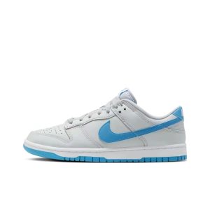 Nike Dunk Low Retro Ciel