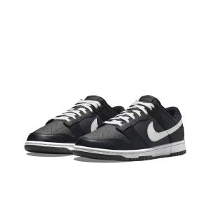 Nike Dunk Low Retro Black and White