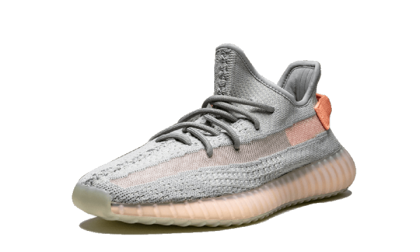 YEEZY 350 True Form