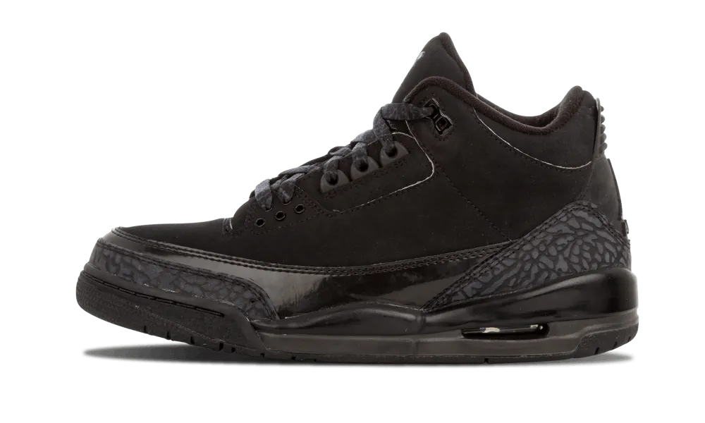 Air Jordan 3 Black Cat