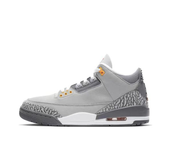 Air Jordan 3 Cool Grey 2021