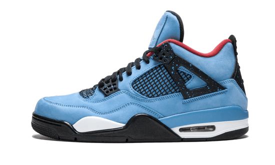 Air Jordan 4  Cactus Jackes