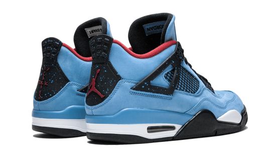 Air Jordan 4  Cactus Jackes